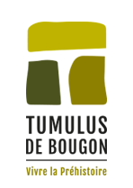 Les élèves du Pôle Ados au Tumulus de Bougon 1ère partie (1/6)