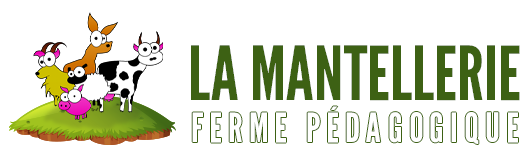Les ados à la ferme pédagogique