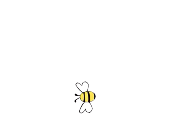 Le Projet « Bzzzz » : les abeilles, la ruche !