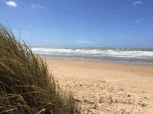 SURF pour l’UEE du Pôle Ados
