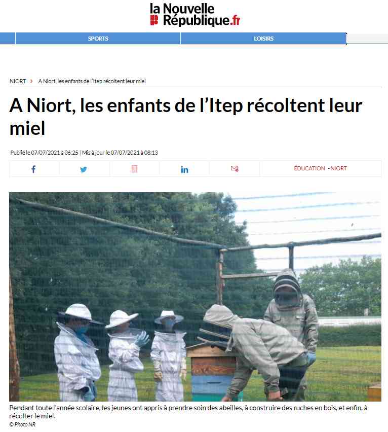 Le projet « Bzzzz » dans le journal
