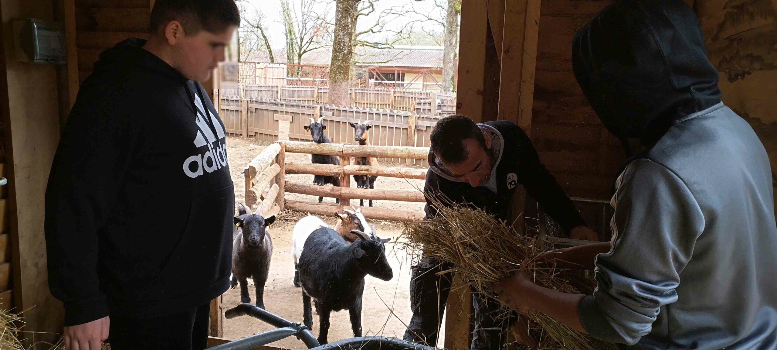 Visite en « VIP » au Zoodyssée